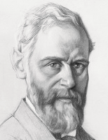 A.M.A.A. Steger