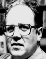 J.W. Mijnsbergen