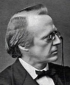 H.A. des Amorie van der Hoeven